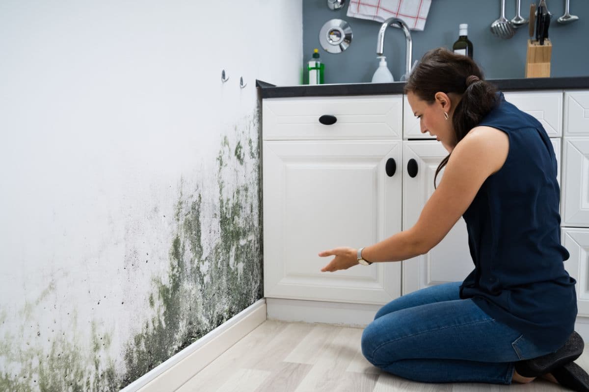 Professional mold remediation in a basement showing containment and removal process